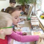 phoca_thumb_m_veverky a knihovna 4 Fotogalerie